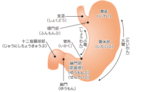 ikasui.gif